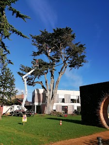 ARVEN Élagage place picture